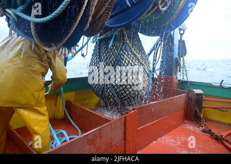 pêche à la sardine en vendée, france Banque D'Images