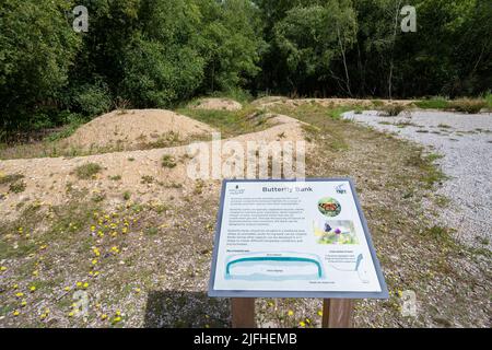 Hartland Country Park près de Fleet, Hampshire, Angleterre, Royaume-Uni, avec une banque de papillons et un panneau d'information Banque D'Images