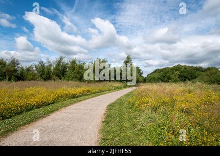 Edenbrook Country Park près de Fleet, Hampshire, Angleterre, Royaume-Uni Banque D'Images