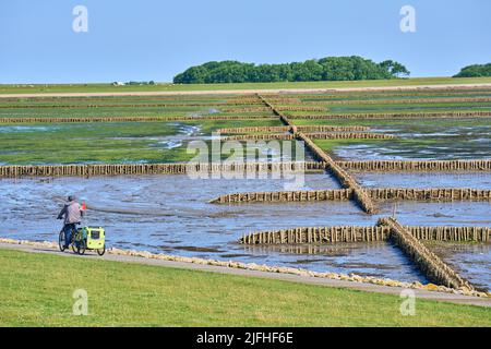 Piste cylongeant la plage est sur 29 juin 2022 à Wyk, île de Foehr, Allemagne. © Peter Schatz / Alamy stock photos Banque D'Images