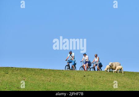 Troupeau de moutons sur la piste cylongeant la plage est de 29 juin 2022 à Wyk, île de Foehr, Allemagne. © Peter Schatz / Alamy stock photos Banque D'Images