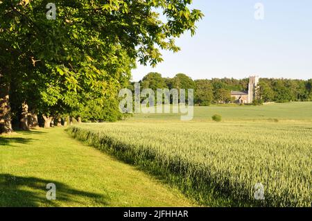 Église Saint-Bartholomew, Hanworth, nord de Norfolk, Angleterre, Royaume-Uni Banque D'Images