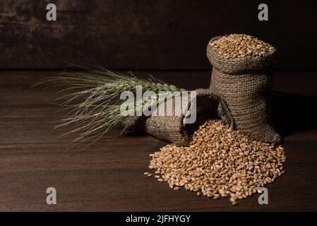 Oreille de blé et grain en toile de sackCloth, sur fond de bois. Banque D'Images