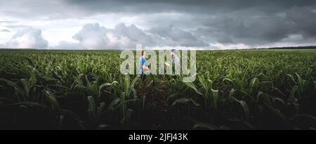 Deux agriculteurs dans un champ de maïs agricole par jour nuageux. Agronome dans le champ sur fond de nuages pluvieux Banque D'Images