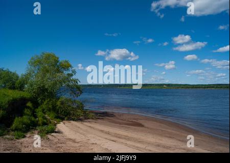 Ryokana de froid profond dans le nord de la Russie. Les saisons sont l'été. Une plage de sable avec des buissons verts qui s'y développent. Nuages blancs dans le ciel bleu Banque D'Images