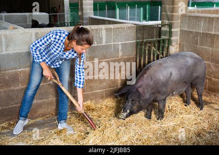 Woman farmer standing avec râteau dans porcherie Banque D'Images