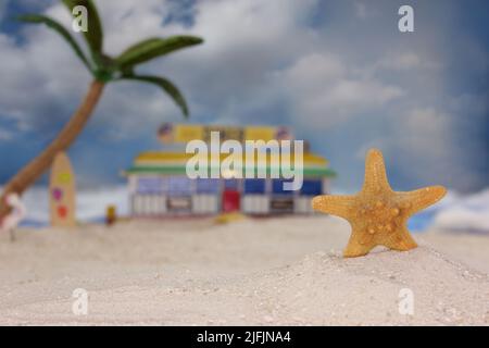 Seashell sur la plage tropicale avec Vintage Diner en arrière-plan Banque D'Images