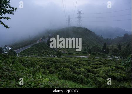 10 juin 2022, Mirik, Bengale-Occidental, Inde: La vallée de Mirik est couverte de buissons de thé tout au long de l'année, les travailleuses du thé sont arrachage de feuilles de thé des jardins de thé pendant la mousson nuageux matinées dans la petite ville du district de Darjeeling du Bengale-Nord -Mirik, Bengale-Occidental, Inde le 10/06/2022. Les poteaux électriques de ces jardins sont le seul moyen de connexion électrique sur toute la colline. Selon la Darjeeling Tea Association, l'année précédente, la production de thé de Darjeeling est d'environ 7 millions de kg et les exportations étaient de l'ordre de 3 à 3,5 millions de kg. (Credit image: © Soumyabrata Roy/Pacific Press via Banque D'Images