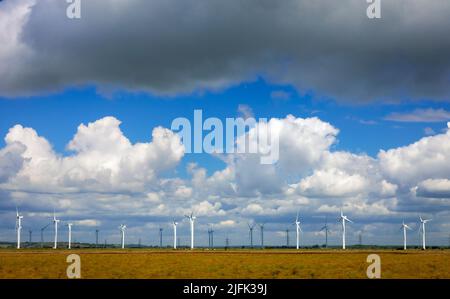 Little Cheyne court Windfarm sur le marais Romney entre Camber et Lydd sur la frontière est de Sussex Kent, au sud-est de l'Angleterre Banque D'Images