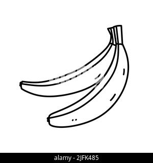 Bouquet de bananes isolées sur fond blanc. Fruits mûrs. Illustration vectorielle dessinée à la main, style doodle. Parfait pour les cartes, le logo, les décorations, les recettes, le menu, divers modèles. Illustration de Vecteur