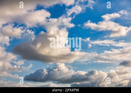 Une image détaillée des nuages Cumulus blancs et doux se présentant contre Un ciel bleu de jour Banque D'Images