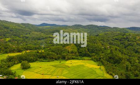 Vue de dessus des montagnes avec des forêts vertes et des terres agricoles avec des plantations agricoles.Sri Lanka. Banque D'Images