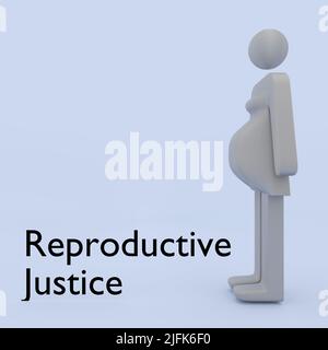 3D illustration d'une silhouette d'une femme enceinte avec un script de justice reproductive, isolée sur un fond bleu pâle. Banque D'Images