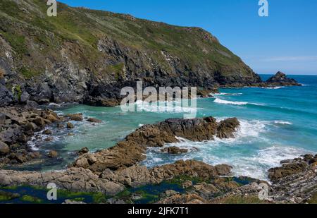 Black Head et Hyrlas Rock sur le sentier de la côte sud-ouest entre Kennack Sands et Coverack sur le Lizard, en Cornouailles Banque D'Images