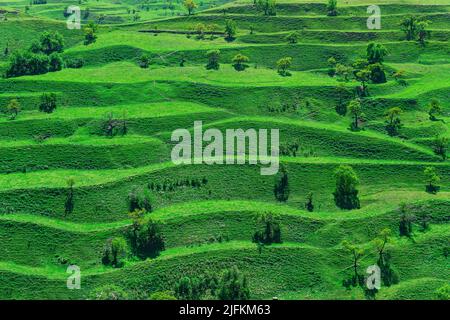 paysage de montagne avec terrasses agricoles vertes sur les pentes Banque D'Images