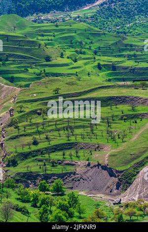 Terres agricoles en terrasse sur les pentes de montagne du Dagestan Banque D'Images