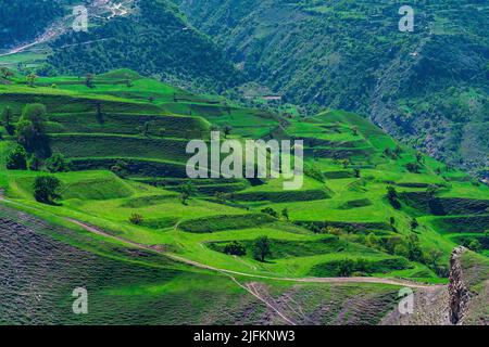 paysage de montagne avec terrasses agricoles vertes sur les pentes Banque D'Images