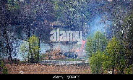 Kiev, Ukraine 1 avril 2020: Mettre le feu au bois mort près d'un lac dans le centre de Kiev Banque D'Images