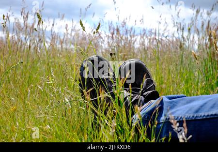 marcheur au repos assis sur de l'herbe longue dans la prairie, norfolk, angleterre Banque D'Images