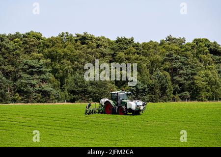 Tracteur Fendt 720, pulvérisation de précision de la récolte de carottes Sutton Heath Suffolk, Angleterre Banque D'Images