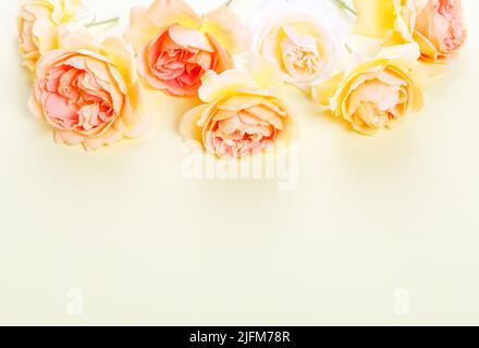 Cadre de roses orange sur fond blanc. Banque D'Images
