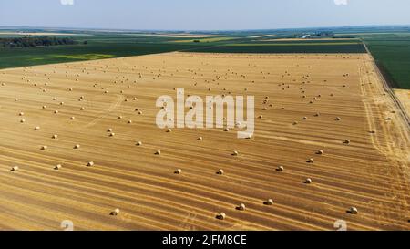 Vue aérienne du champ de blé récolté et ciel bleu à l'arrière-plan. Des botte de foin reposent sur le champ agricole. La photo est prise avec un drone. Banque D'Images