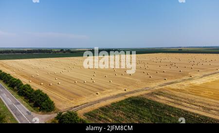 Vue aérienne du champ de blé récolté et ciel bleu à l'arrière-plan. Des botte de foin reposent sur le champ agricole. La photo est prise avec un drone. Banque D'Images
