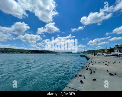 Vue sur le Bosphore et les pigeons depuis la côte d'Emirgan. Paysage de ciel panoramique avec le Bosphore de la ville d'Istanbul, Turquie. Banque D'Images