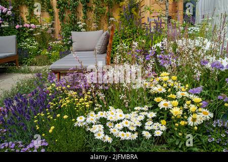 East Molesey, Surrey, Royaume-Uni. 4th juillet 2022. Sue Kent dans son jardin Get Started, Knolling avec Daisies, conçu pour les personnes qui trouvent le travail physique un défi et pour promouvoir la compréhension de la diversité des capacités. Crédit : Maureen McLean/Alay Live News Banque D'Images