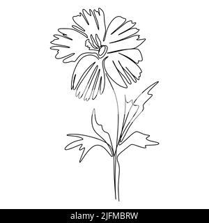 Vecteur isolé art ligne de fleur. Illustration de fleurs dessinées à la main avec un seul contour noir. Décoration naturelle botanique fleur sur fond d'épinette Illustration de Vecteur