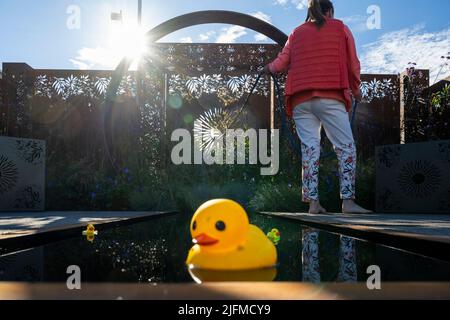 Londres, Royaume-Uni. 4 juillet 2022. Un canard en caoutchouc dans l'eau au Sunburst Garden, conçu par Charlie Bloom et Simon Webster, qui est arrosé pendant la prévisualisation de la presse au RHS Hampton court Palace Garden Festiva. Le plus grand spectacle floral au monde comprend des jardins de designers inspirants, des conférences de célébrités, des démonstrations et des ateliers. Credit: Stephen Chung / Alamy Live News Banque D'Images