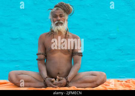 Rome Baba pratiquant le yoga, pour un usage éditorial uniquement, Allahabad Kumbh Mela, le plus grand rassemblement religieux, de l'Uttar Pradesh, Inde Banque D'Images