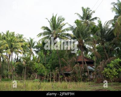 Maison de village traditionnelle dans la région de Konkan à l'état de Kudal Maharashtra Inde 06 15 2022 Banque D'Images