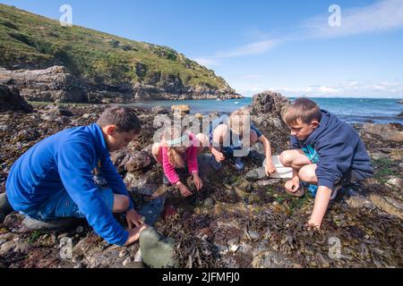 Les enfants explorent l'estran Banque D'Images