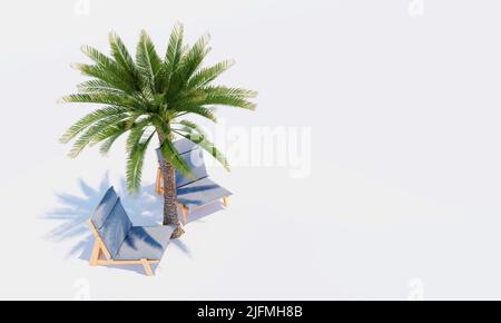 Palmier et deux chaises de plage sur fond blanc. 3d rendu Banque D'Images
