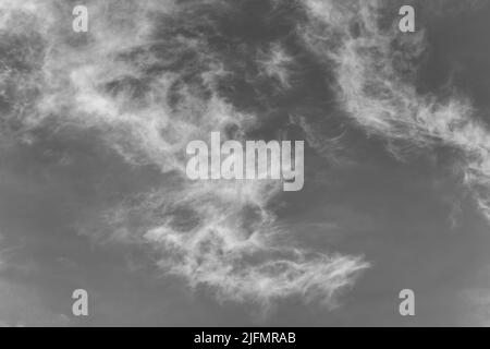 Une image détaillée des nuages de Cirrus blancs et wispy se présentant contre Un ciel noir et blanc de jour Banque D'Images