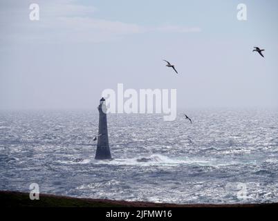 Phare de rocher de poulet, au sud du veau de Man, île de Man Banque D'Images