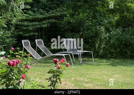 Chaises longues ou chaises longues modernes en métal sur la pelouse devant une haie dans le jardin ou le parc pour la détente d'été dans la nature, espace de copie, sélectionné f Banque D'Images