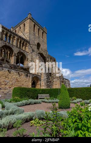 Jedburgh, Royaume-Uni - 18 juin 2022 : vue sur les ruines de l'abbaye de Jedburgh en Auguste Banque D'Images