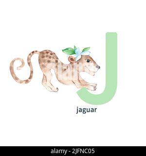 Lettre J, jaguar, animaux enfants, alphabet ABC. Illustration aquarelle isolée sur fond blanc. Banque D'Images