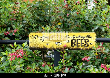 Un signe de jardin domestique en métal, comique, placé par le buisson des propriétaires pour les informer qu'ils cultivent des mauvaises herbes pour le bénéfice des abeilles. Banque D'Images