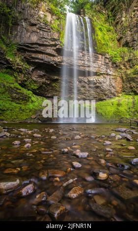 Chute d'eau de Henrhyd Falls dans le parc national de Brecon Beacons, pays de Galles, Royaume-Uni Banque D'Images