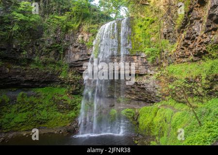 Chute d'eau de Henrhyd Falls dans le parc national de Brecon Beacons, pays de Galles, Royaume-Uni Banque D'Images