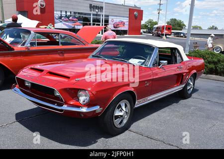 Un GT500KR Shelby Mustang 1968 exposé lors d'un salon de l'auto. Banque D'Images