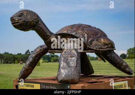 Le centre d'art de l'ironwork britannique, tortue géante, exposition/Sculpture Banque D'Images