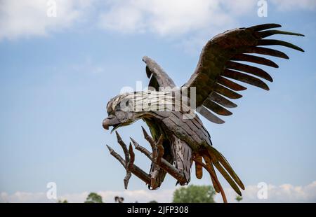 Le centre d'art de l'art britannique, exposition/sculpture Bald Eagle Banque D'Images