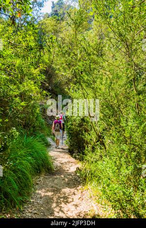 Célèbre sentier de la Sierra de cazorla, 'la cerrada de Elías'. Sierra de Cazorla, parc naturel de Segura et Las Villas, Jaen, Andalousie, Espagne, Europe Banque D'Images