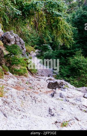 Route dans la Sierra de las Nieves à travers la Cañada del Cuerno, un endroit où les fermes espagnoles abondent. Parc national de la Sierra de las Nieves, Parque Naciona Banque D'Images