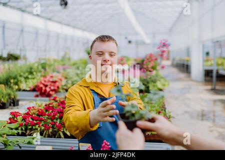 Jeune employé heureux avec le syndrome de Down travaillant dans le centre de jardin, prenant soin des fleurs. Banque D'Images