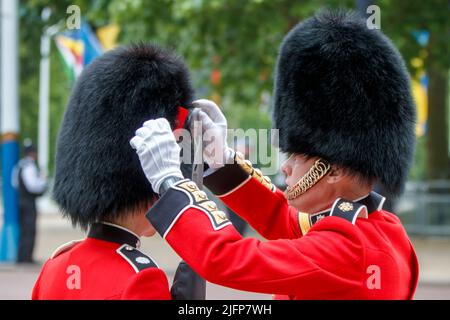 La barbskin d’un paquebot Coldstream Guards est ajusté à Trooping the Color, Colonel’s Review, dans le Mall, Londres, Angleterre, Royaume-Uni Banque D'Images